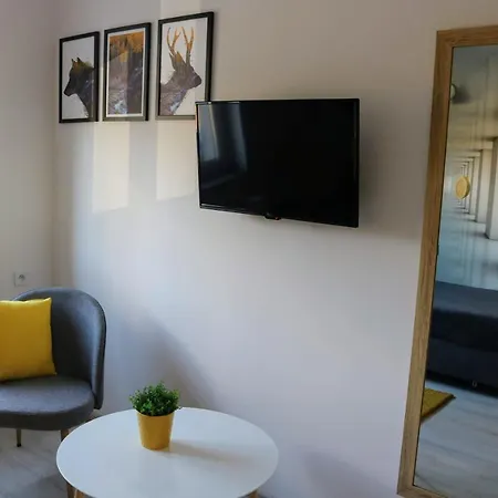 Gosciniec Przy Spacerowej 게스트하우스 3*