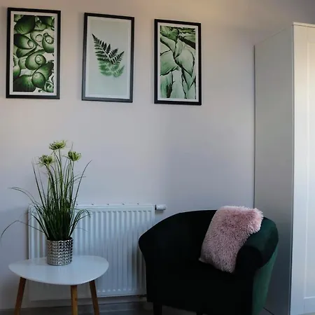 게스트하우스 Gosciniec Przy Spacerowej 3*