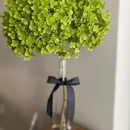 Gosciniec Przy Spacerowej