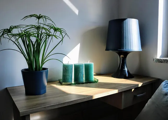 Gosciniec Przy Spacerowej 3*