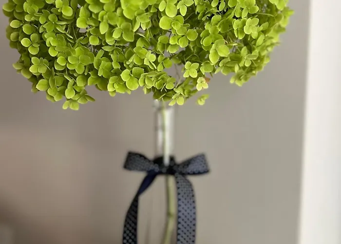 Gosciniec Przy Spacerowej